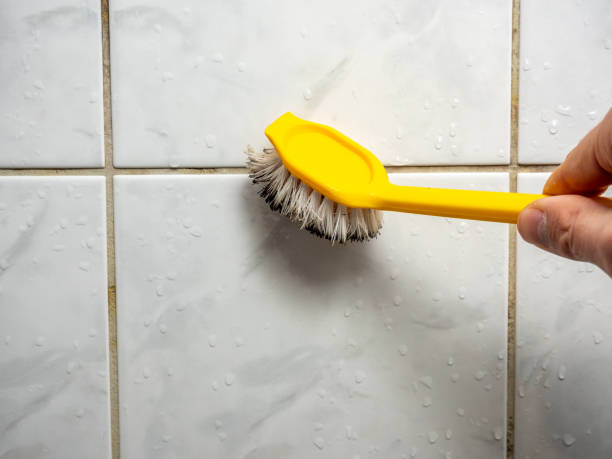 Best Local Mold Removal Service  in Nooksack, WA