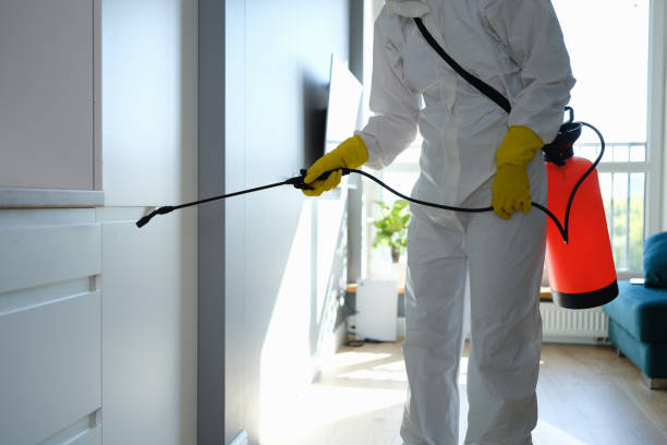 Best Mold Cleaning Services  in Nooksack, WA