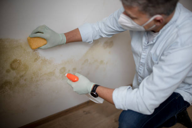 Best Crawl Space Mold Removal  in Nooksack, WA