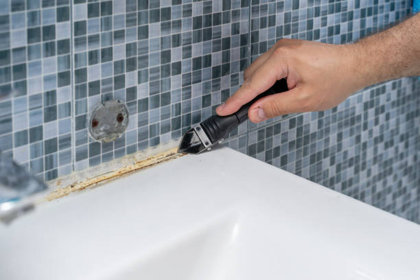 Mold Testing and Removal in Nooksack, WA